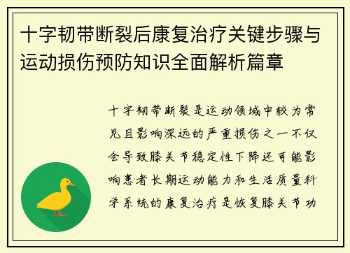 十字韧带断裂后康复治疗关键步骤与运动损伤预防知识全面解析篇章